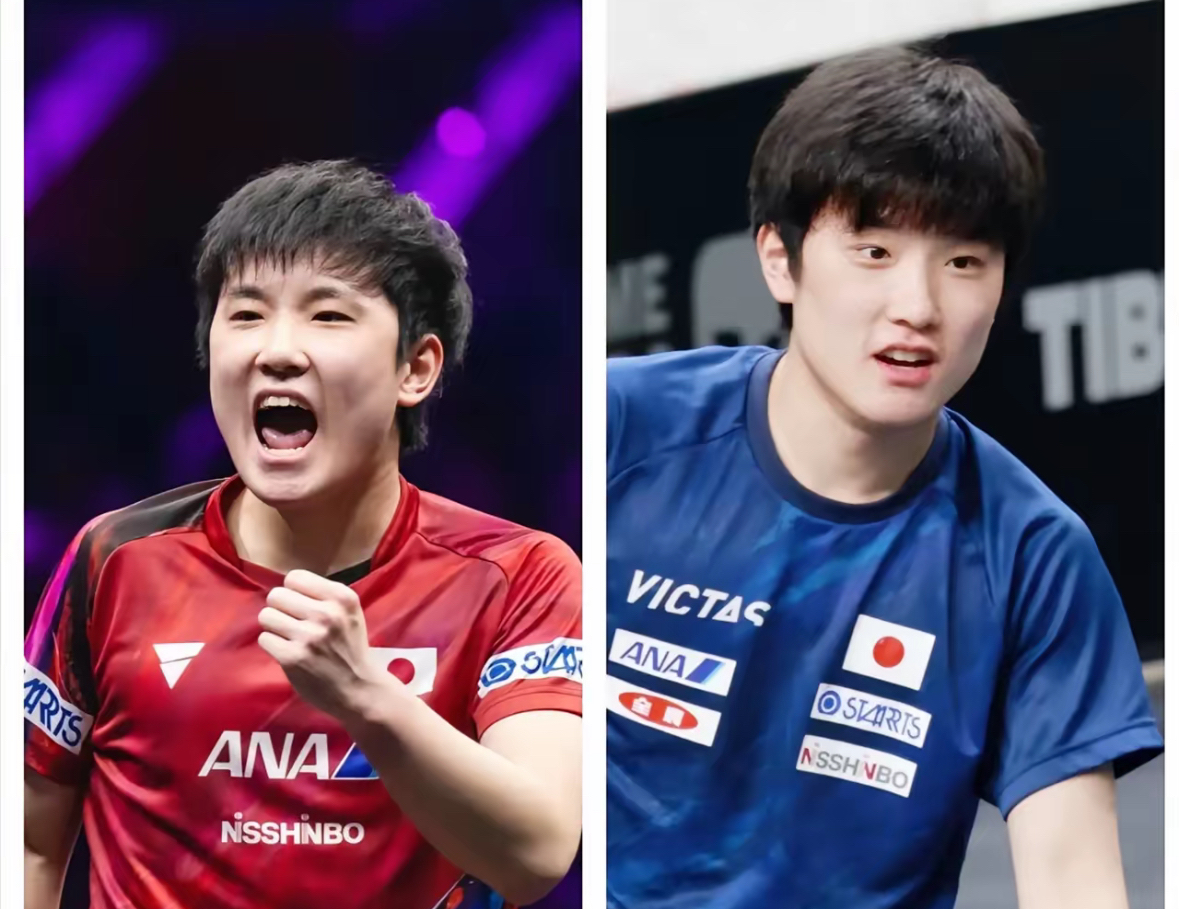 中国乒乓球队翻盘比利时乒乓球队，张本智和绝境逆转