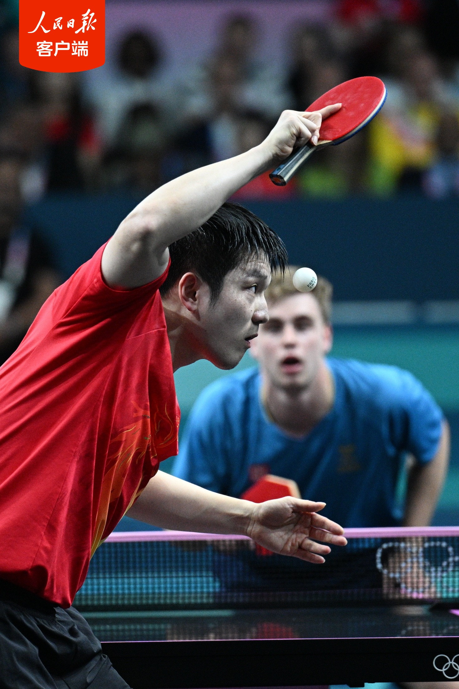 奥地利队横扫中国队，樊振东高光表现