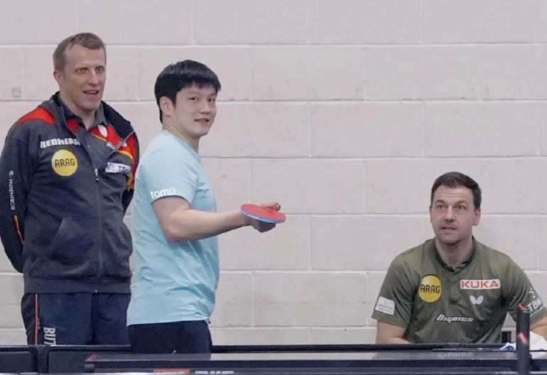 德国队力克韩国队,樊振东高光表现 德国队力克韩国队,樊振东高光表现