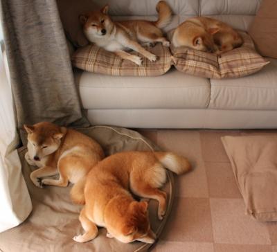 零封之夜，田志希让德国巨星的燃烧成为背景