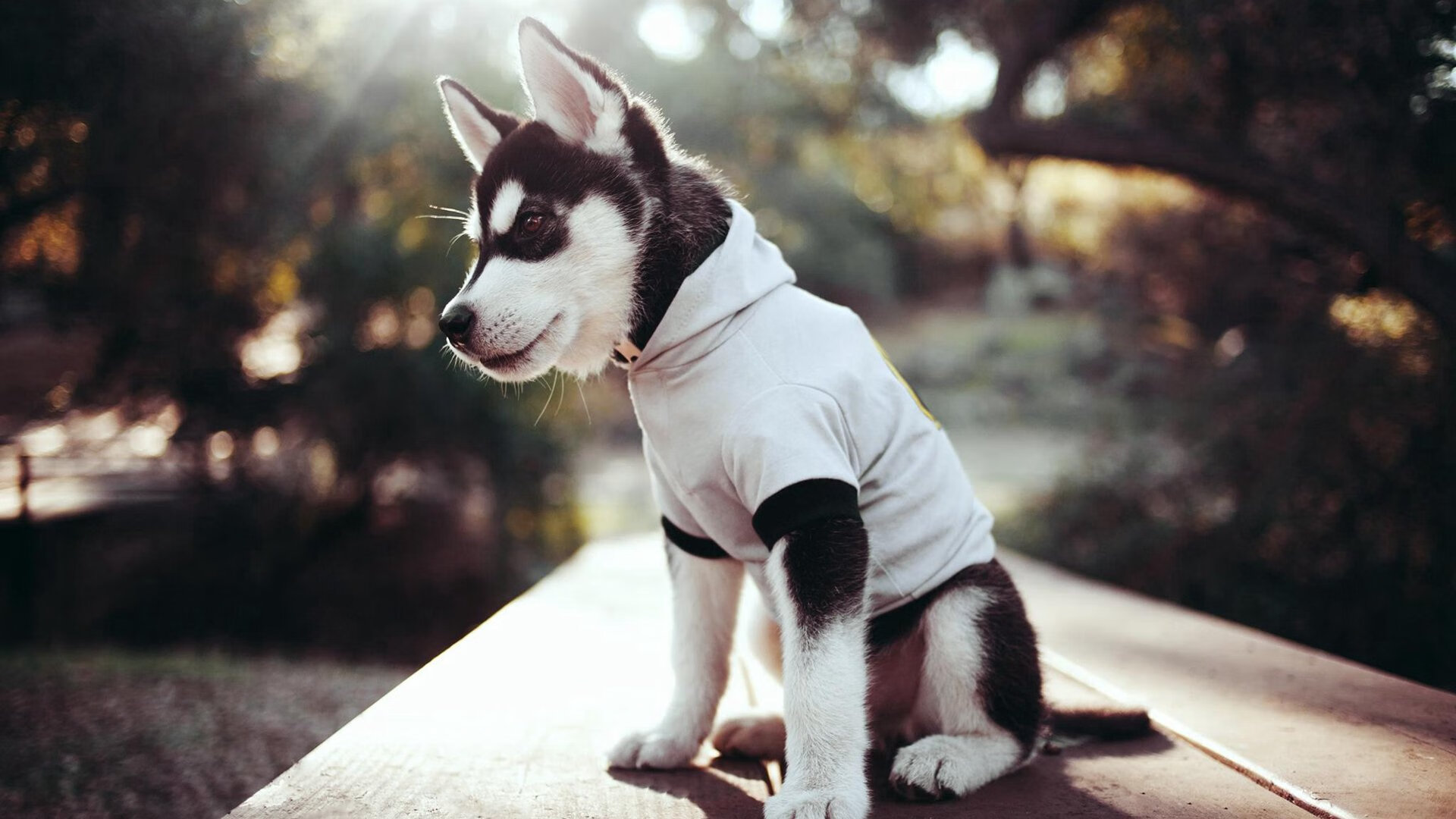 冷热两极，鹈鹕冰封步行者，塔图姆燃烧绿军逆袭