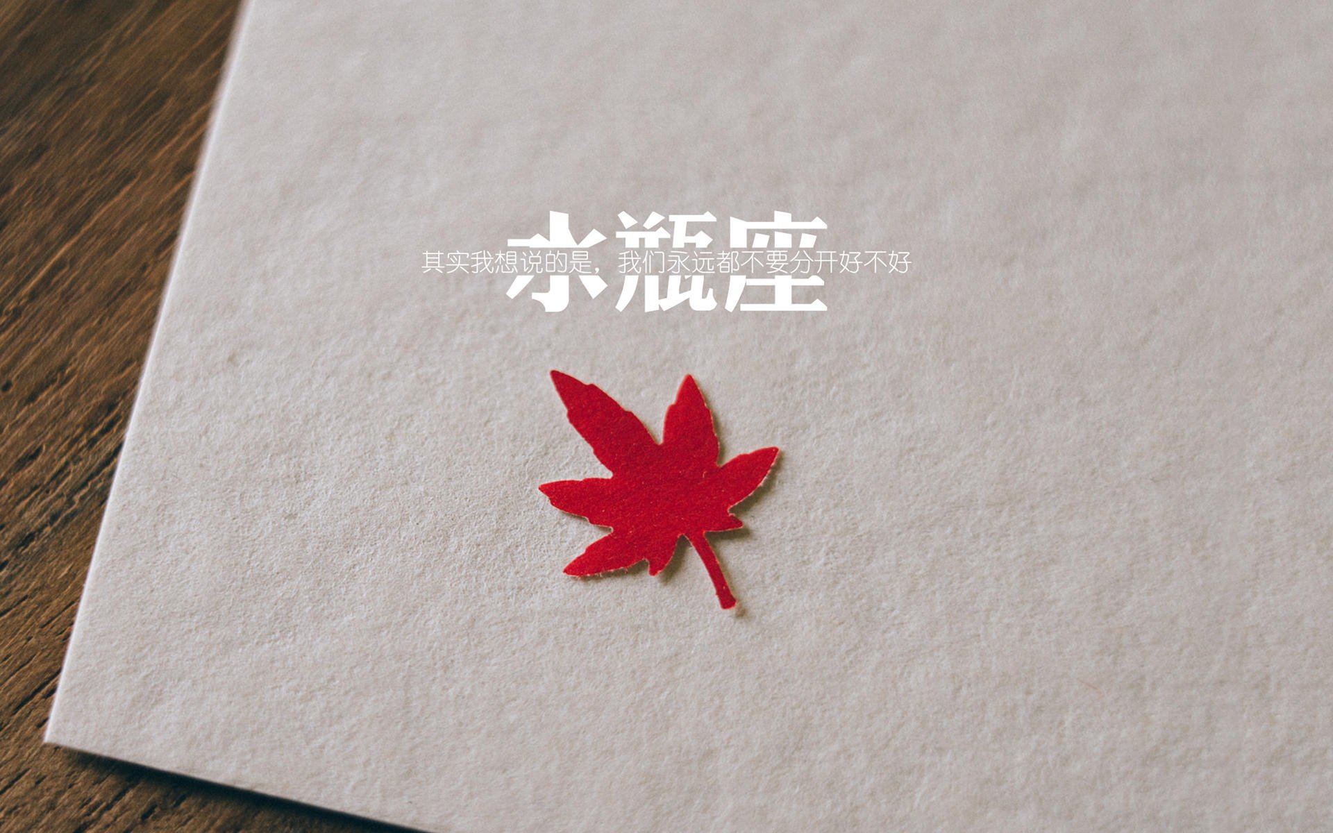 旭日东升，狼群蛰伏，武切维奇一球定乾坤，太阳全面压制展冠军相