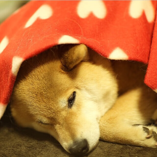 足球矛与盾，毕尔巴鄂防守锁死玻利维亚，孙兴慜持续制造杀伤