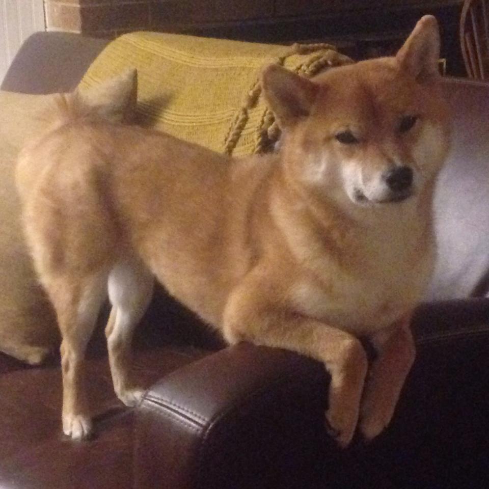 扩展思维与标题构思