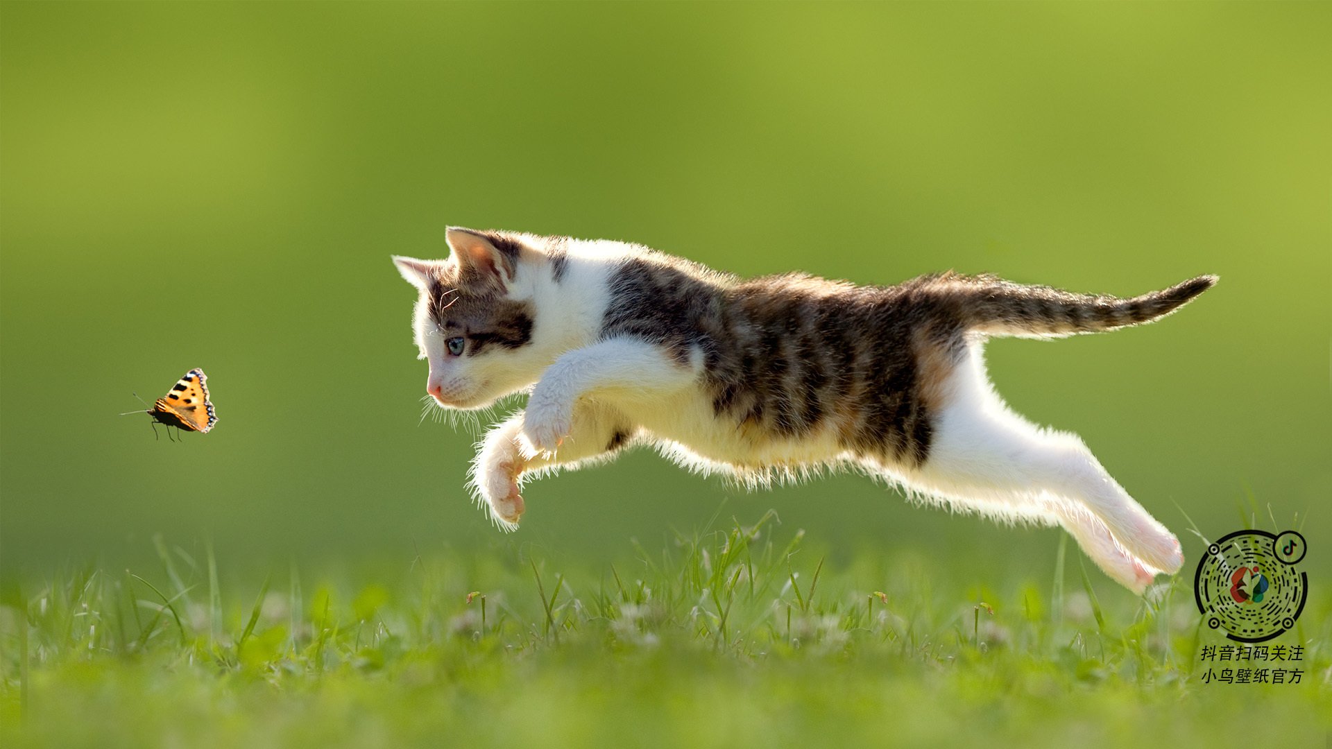 绿色幽灵，坎特如何用一己之力为阿森纳注入不灭的节奏