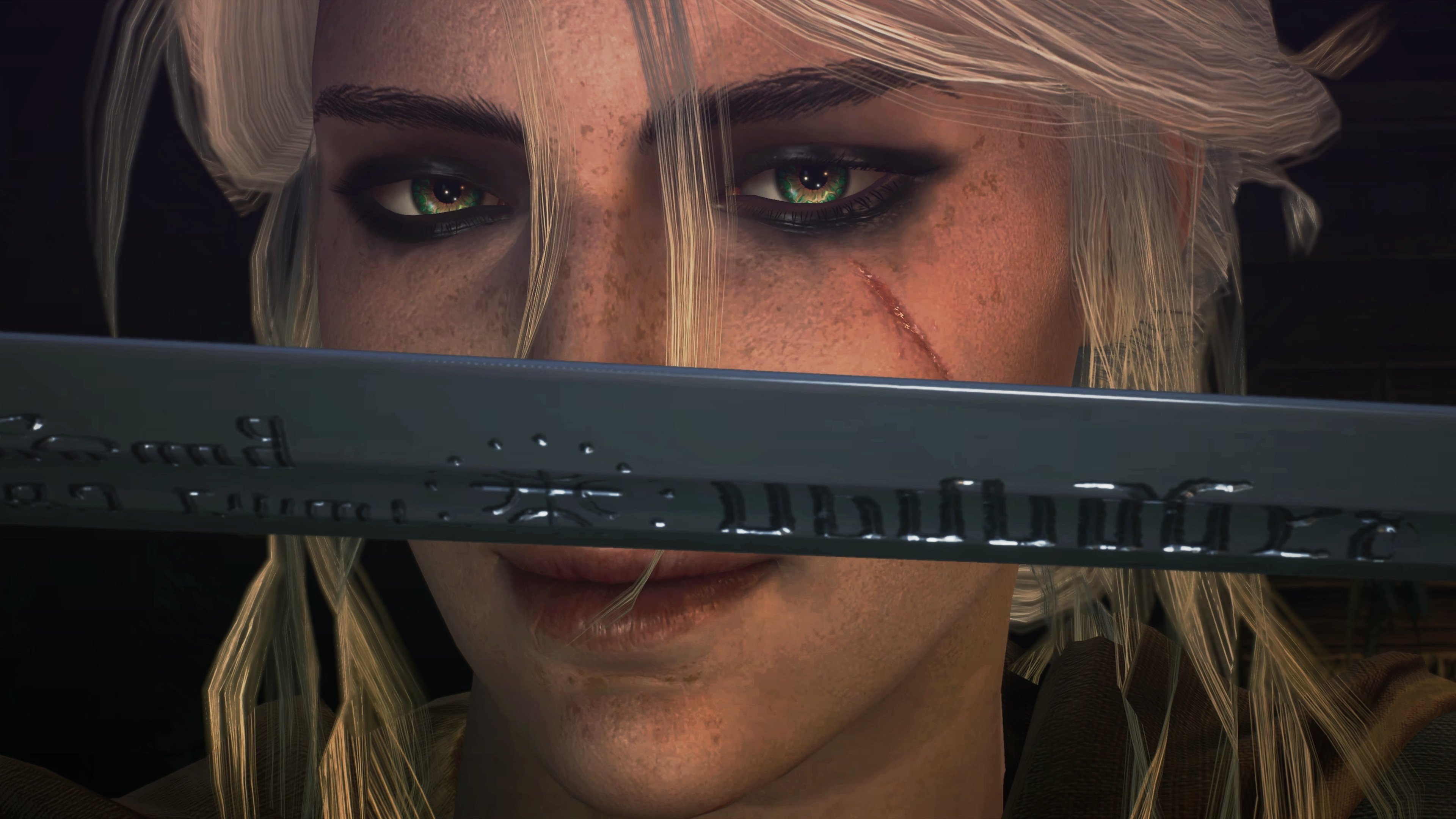 英雄征途,从维也纳到波士顿,竞技场上的不朽时刻