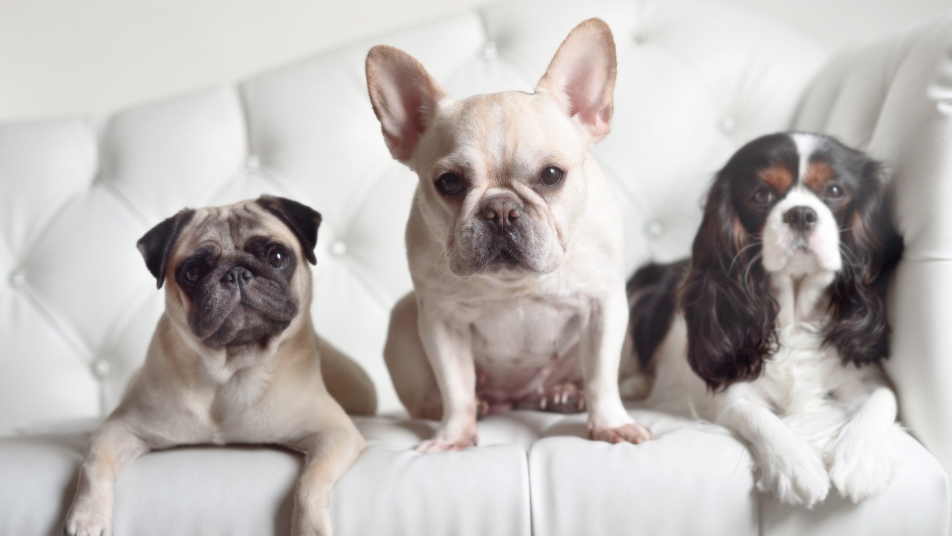 绿衫军风暴席卷汉普顿!奥纳纳神扑定江山,爱尔兰3-0碾压苏格兰