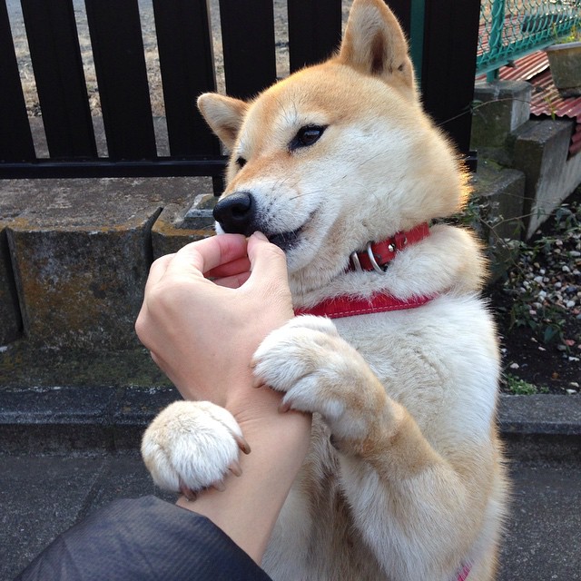 从保胎策略到唯一王者，乔治如何用一场雨战重新定义职业生涯