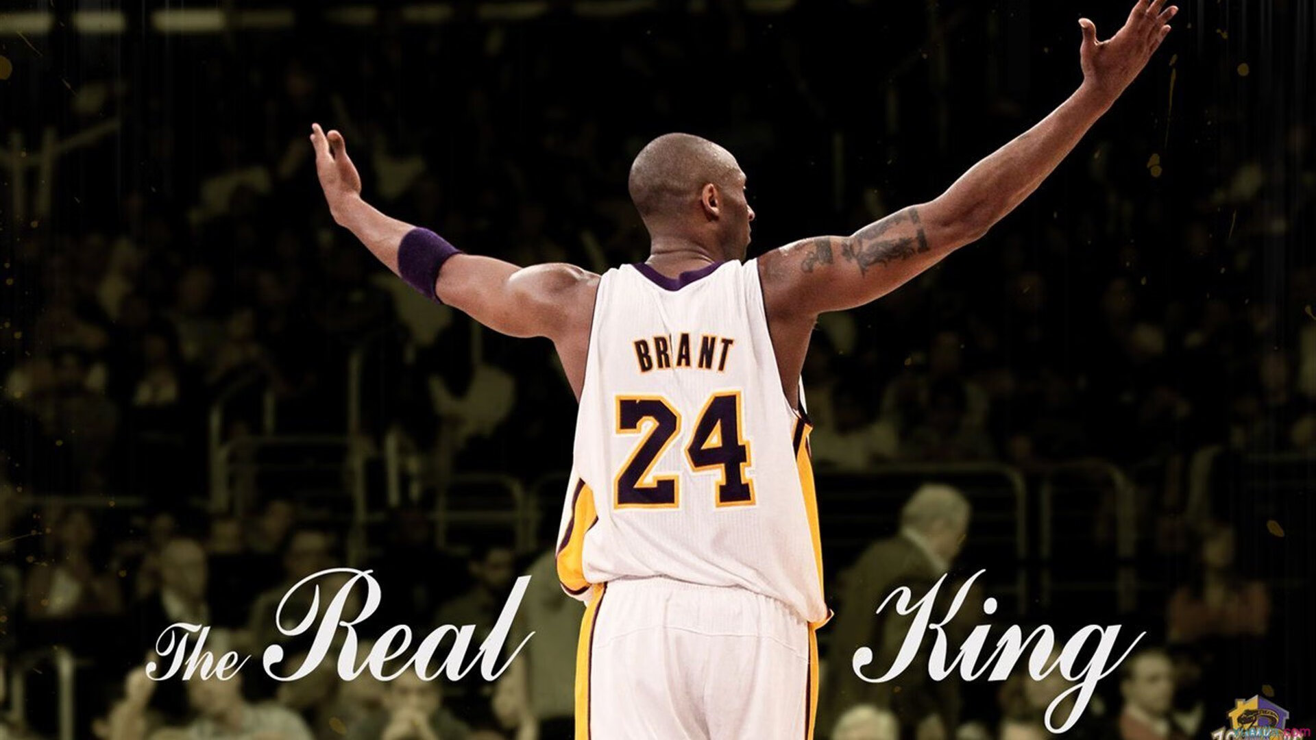 世界排名争夺战之夜,金玟哉数据全面爆炸,亚洲铁卫铸就传奇