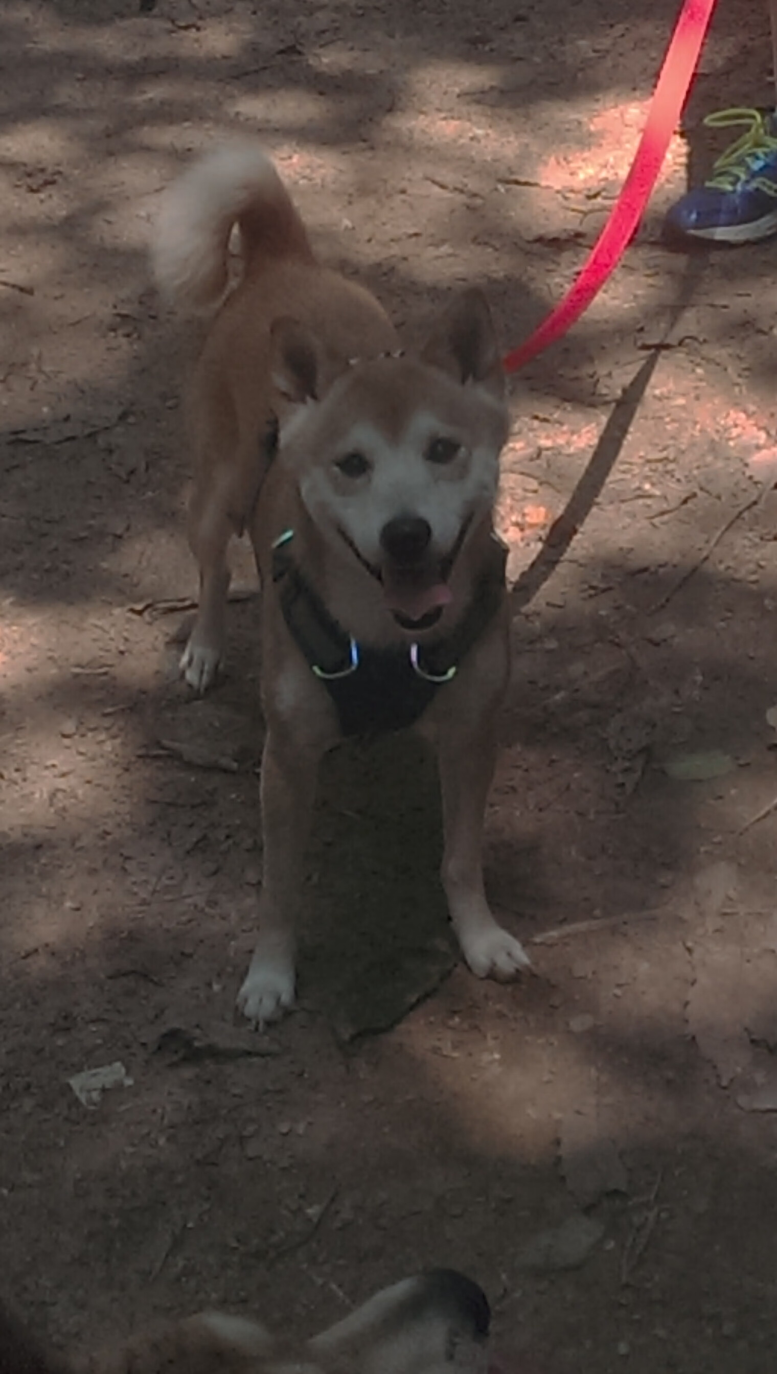 尼克斯铁蹄踏平费城，切特无声惊雷撼动篮球圣殿，当两种伟大在同一个夜晚绽放