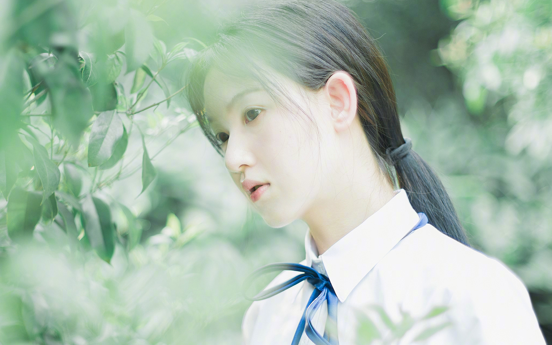 武切维奇映照纽约之夜，湖人尼克斯鏖战，隐形巨人存在感拉满