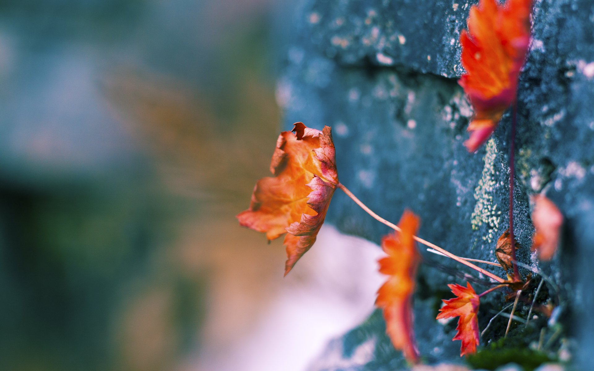 智慧碾压,太阳抢七战用空间炼狱封印黄蜂