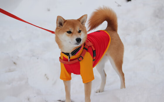 坎特化身中场风暴眼,巴拉圭式闪电战一波带走塞维利亚之谜