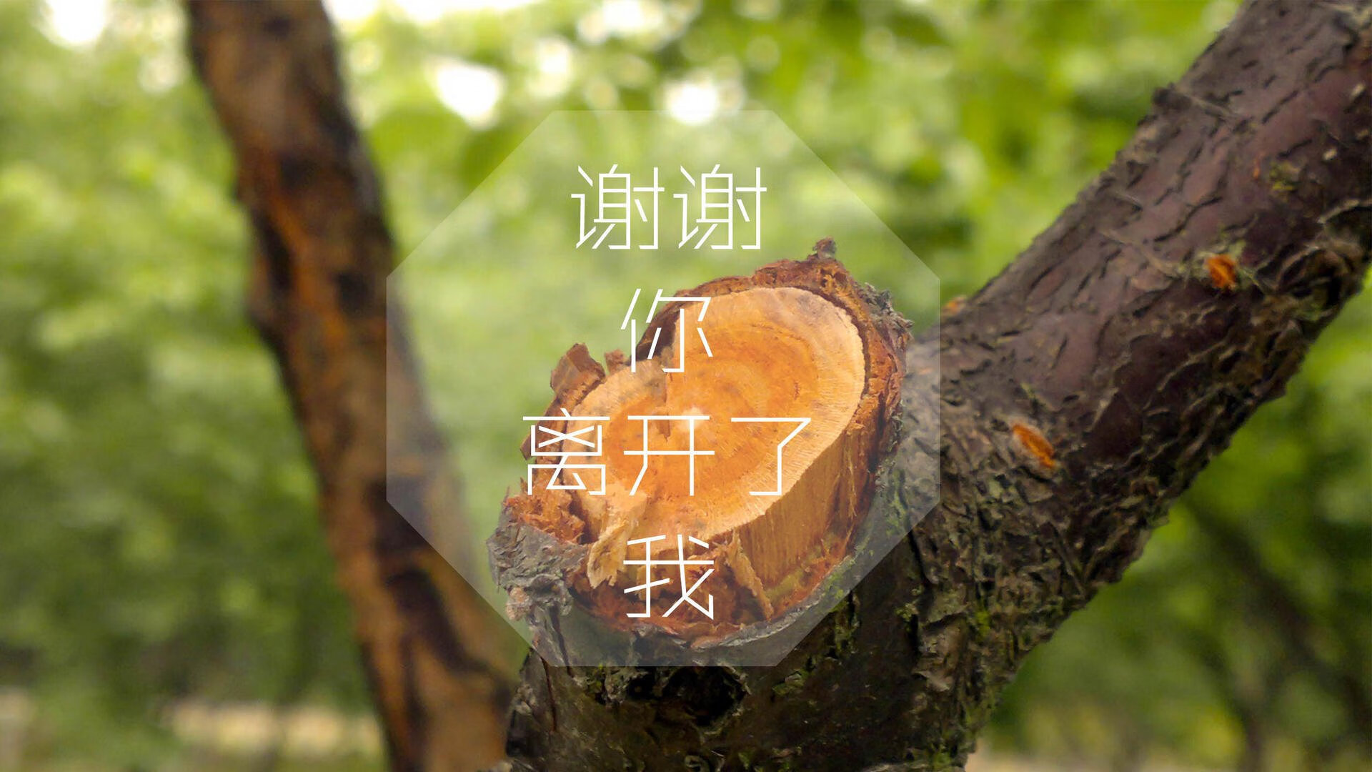 2026世界杯H组生死战,斯洛伐克绝杀伊朗,德容替补奇兵上演致命一击