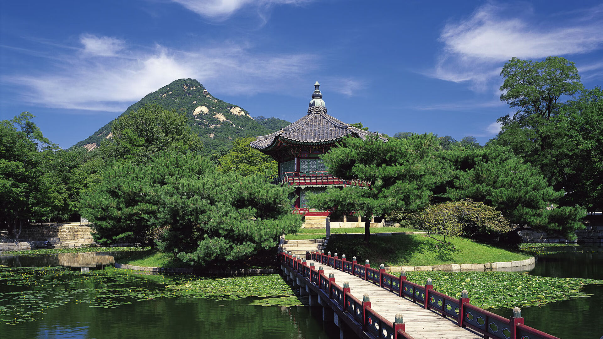 2026世界杯G组史诗级对决，印度碾压美国，吉鲁闪耀全场，防守铸就唯一传奇
